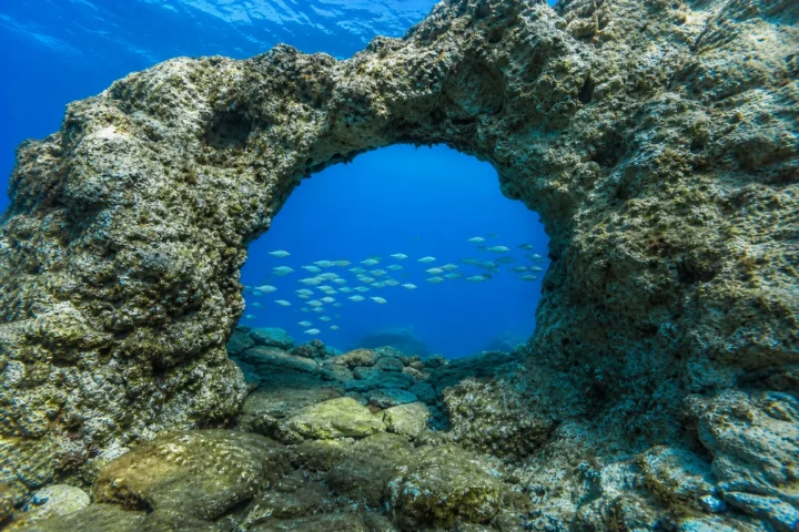 Dive Site Arch