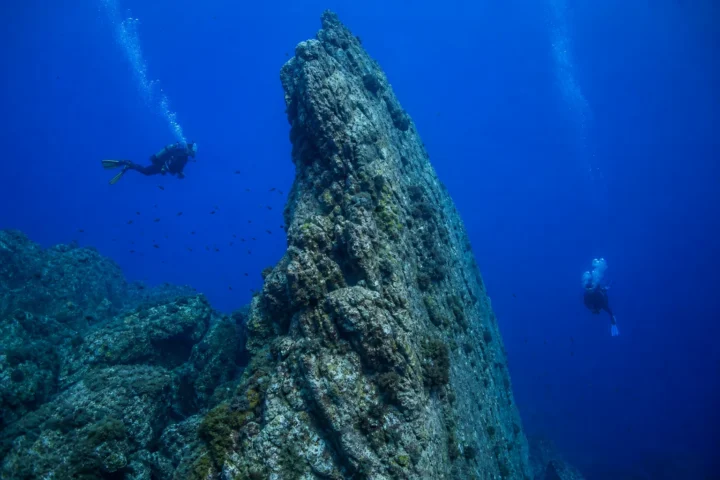 Dive Site Pinnacle