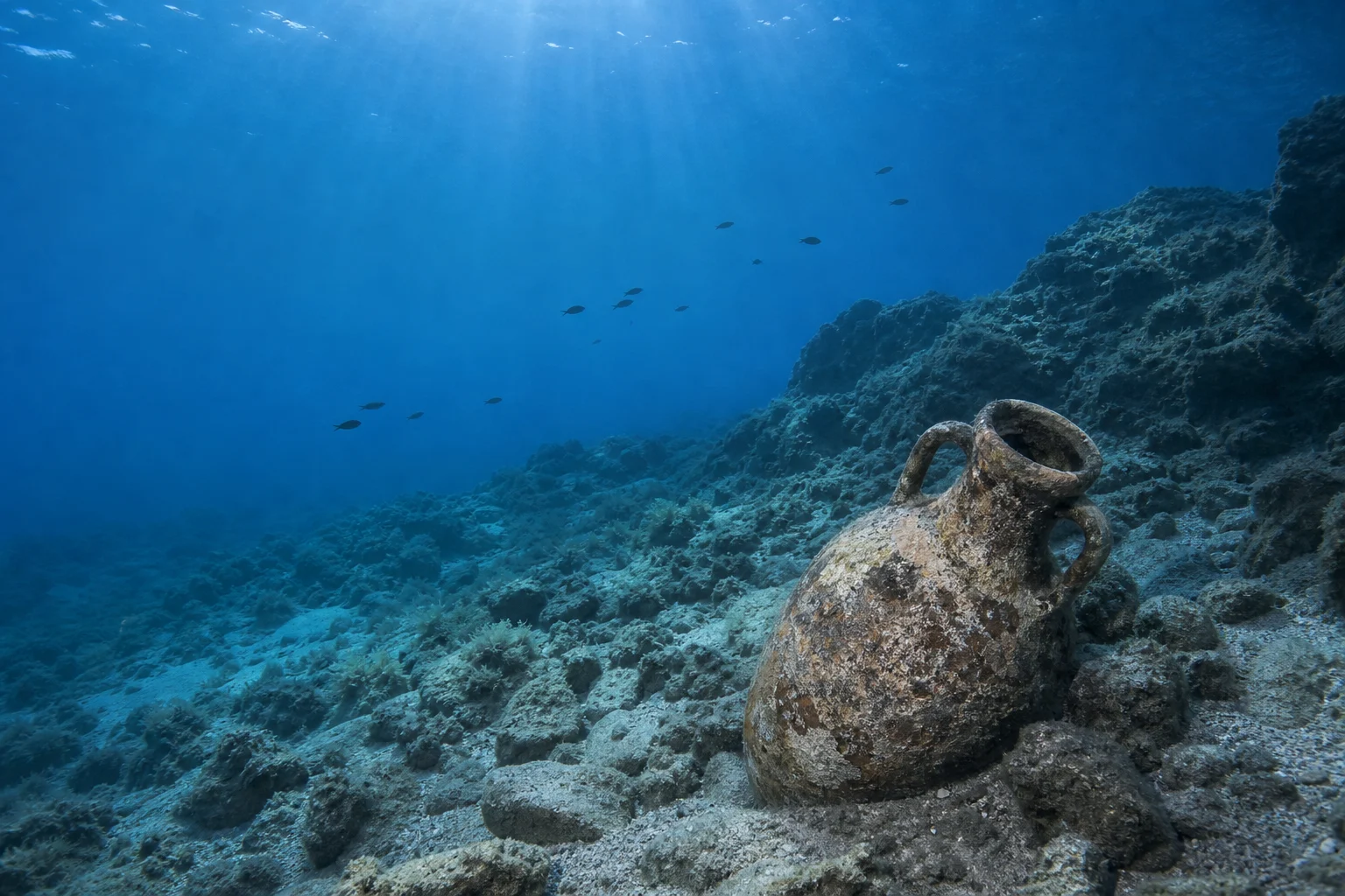 Home Archaeology Amphora